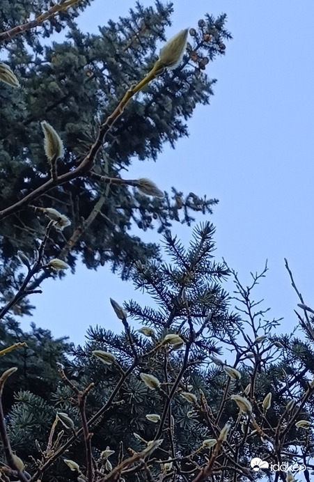 Talán készülődik a tavasz??