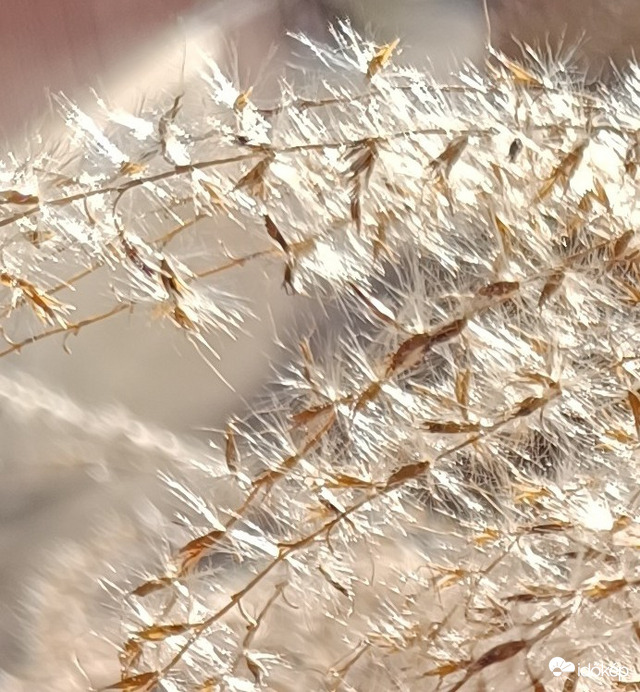 Szép,napos vasárnap van. Jó a sétára...