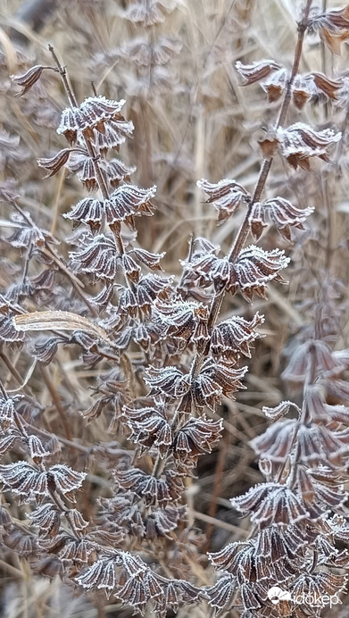 Reggel azért még ellátogat a tél...