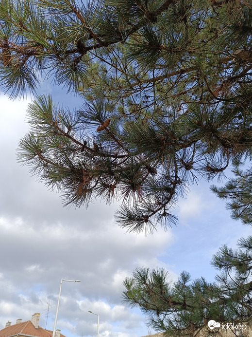 Ma igazi tavaszi idő volt!