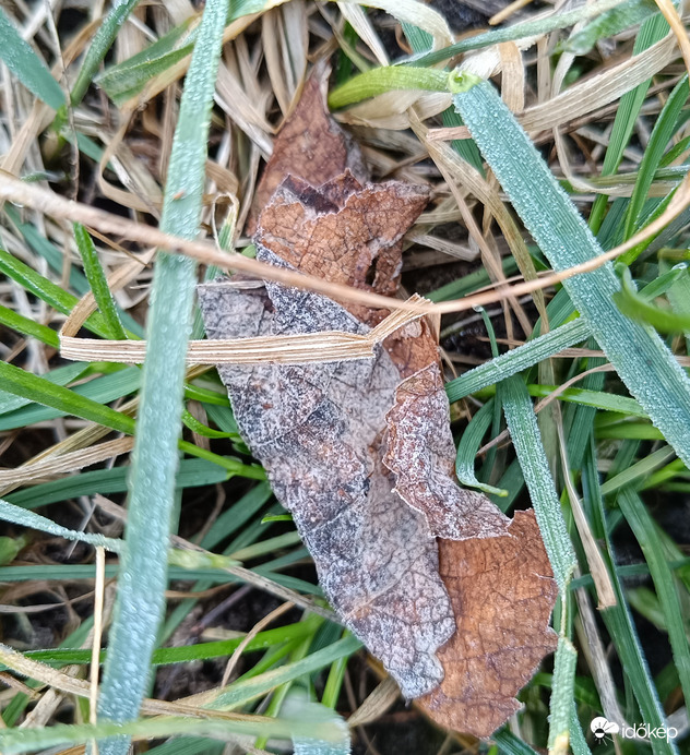 Én már becsavarodok ezektől a zúzmarás reggelrktől...!