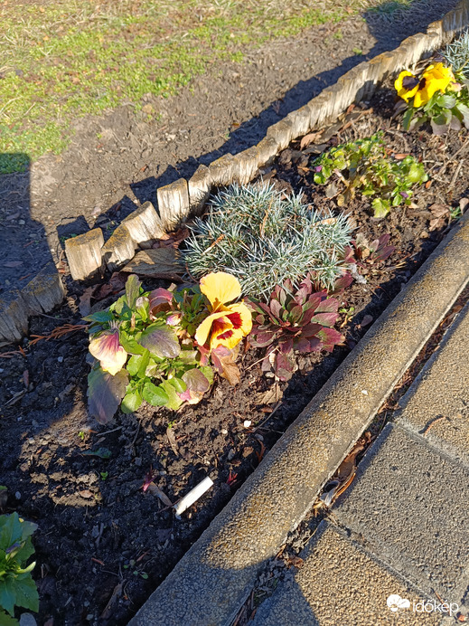 Alakulnak a virágágyások...