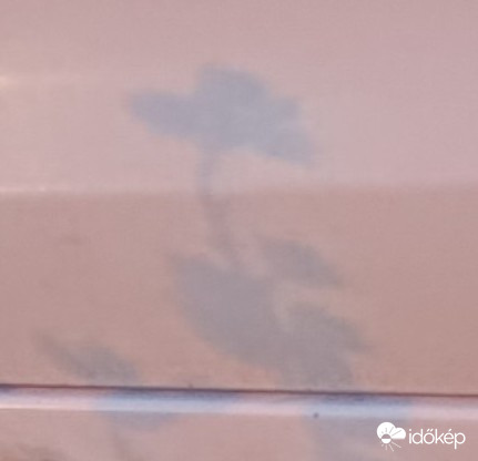 Tegnap este fotóztam. Egy növény árnyéka egy autón. Halvány,de remélem látszik.