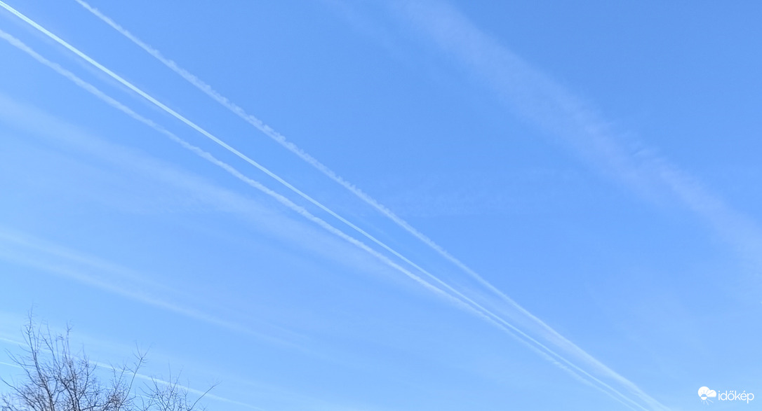 Egy tőről fakadnak...