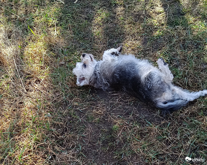 Istenem... Hemperegni a legjobb dolog a világon!