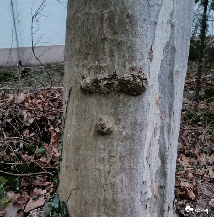 Morcos vagyok. Nem süt a nap...