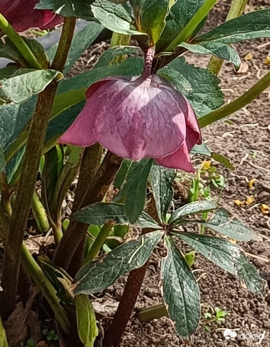 Annyira jó,hogy símogat a Nap!