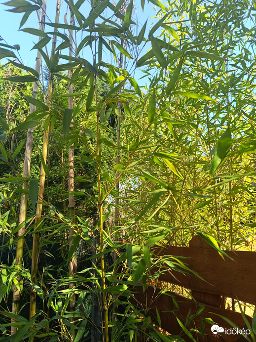 Szép tavaszi vasárnap