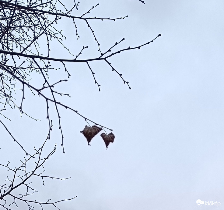 "Mi együtt sírunk és együtt nevetünk...."