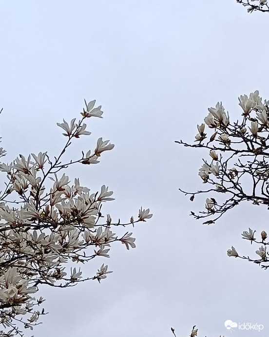 Vajon elérjük valaha egymást?