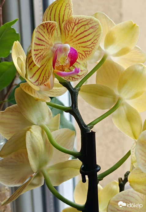 Jó reggelt! Remélem,ma sütni fog a nap!