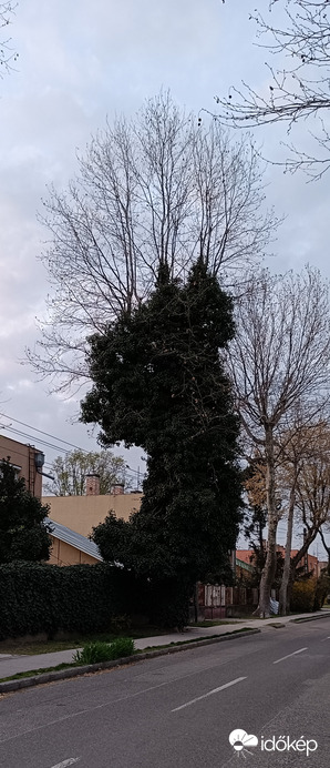 Akkor most hogy is állok?...