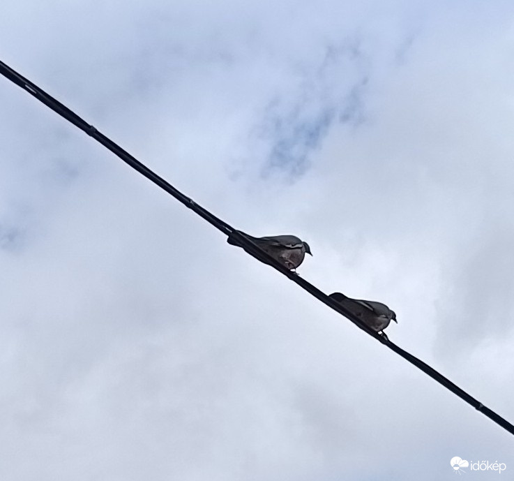 Szerinted minket néz??