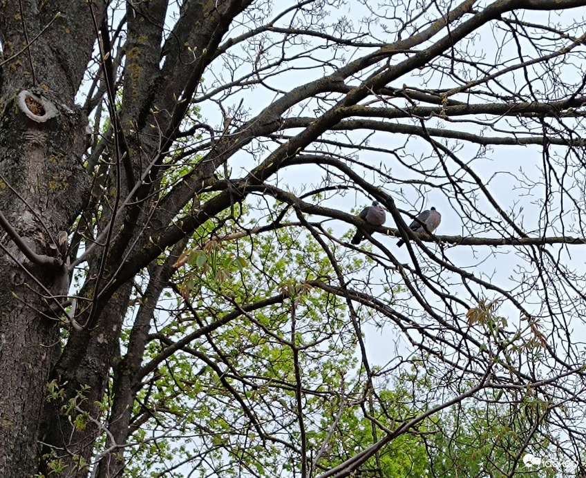 "Nem lehet elbújni előle... Állandóan minket figyel!"