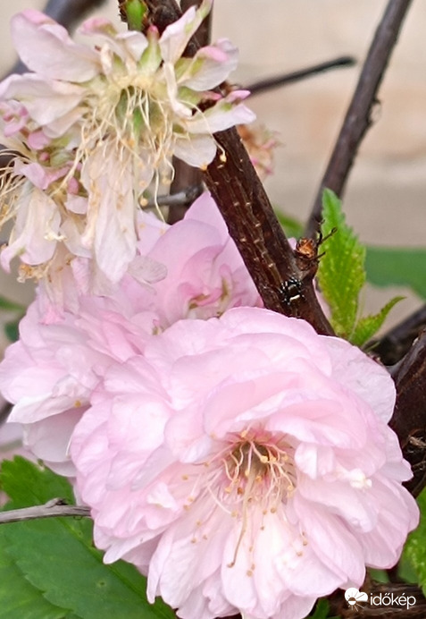 Én is megöregszem??