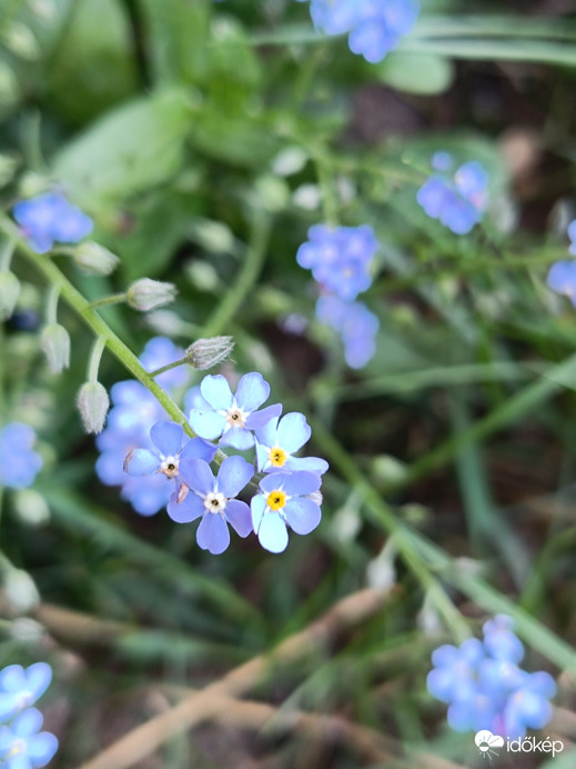 Amivel sosem tudok betelni....