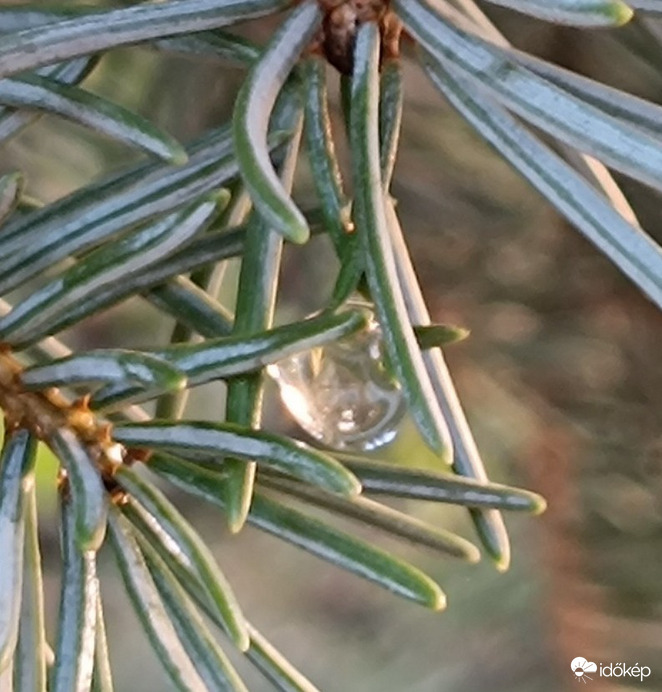 Nagy a szárazság,locsolni kell!