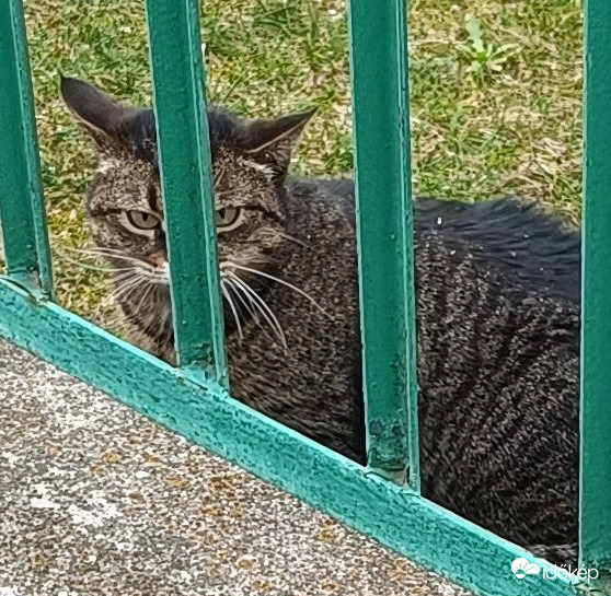 Még ilyen pancsert! Ilyen fotót készíteni rólam?!