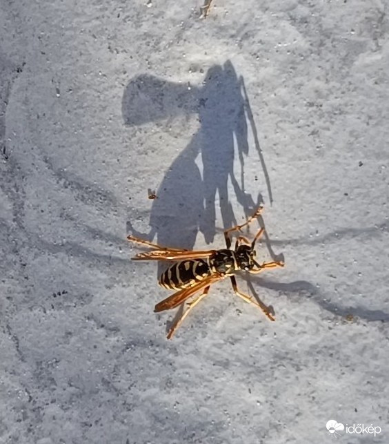 Estefelé nyúlik az árnyék....