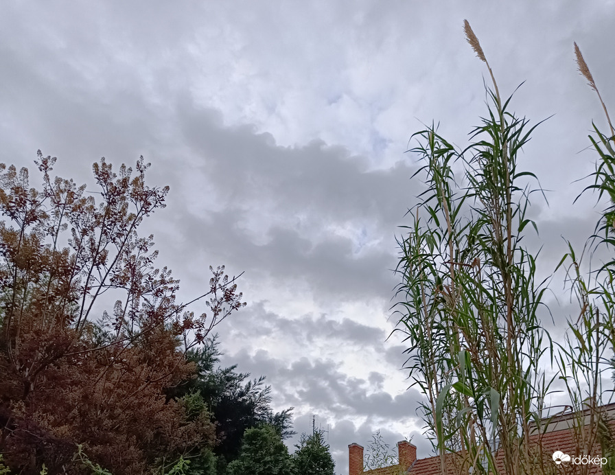 Egyre sötétebb lesz