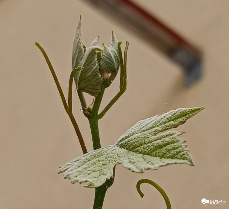 Perdülj,fordulj....