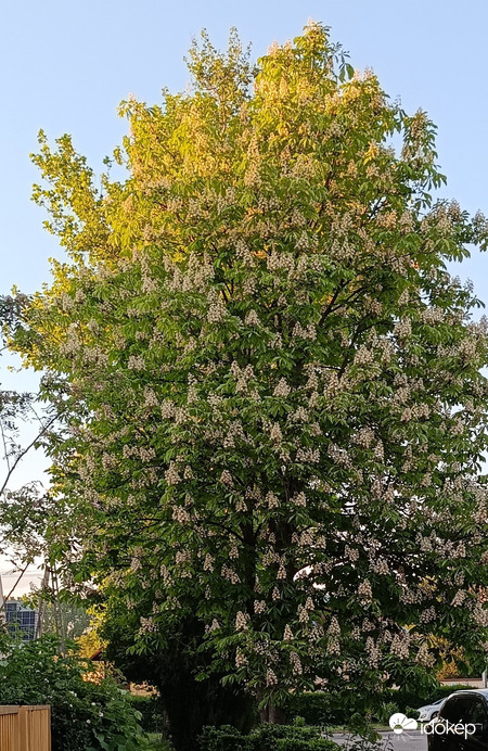 Nemsokára lemegy a Nap...