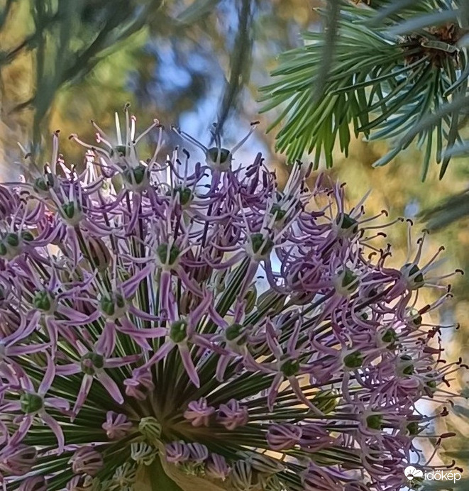 Egy másik nézőpontból fotózva