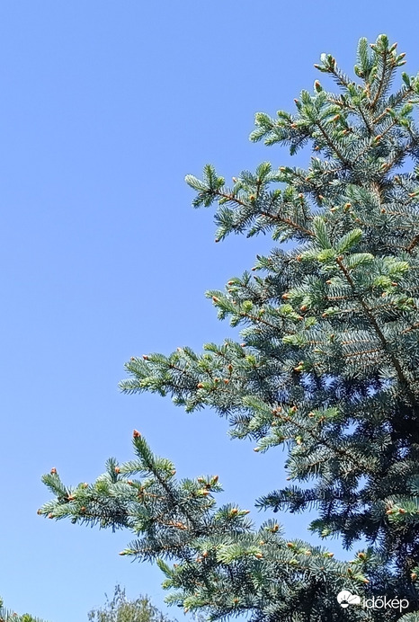 Szép nyárias nap...