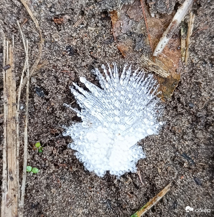 Reggeli vizes tollacska