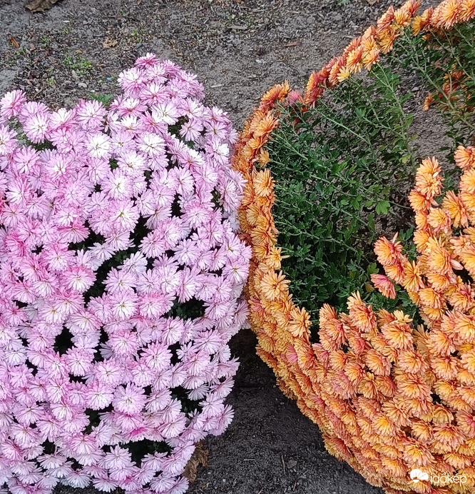 Szeretjük egymást!