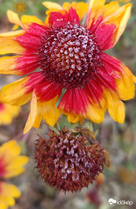 Mostmár nálunk is szórják néha a "cukrot"!