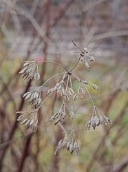 Most ilyen a kert...