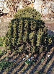 Tél végi hangulatban