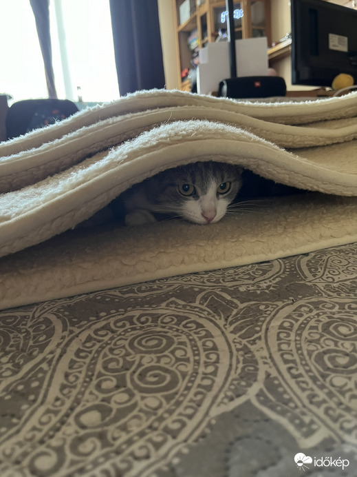 Igaz,hogy meleg van,de olyan szuper ez a takaró!