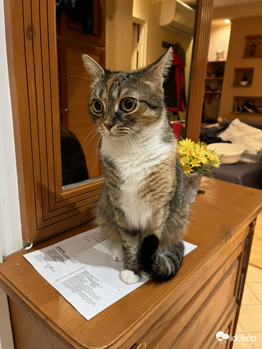 Sok Boldog Szülinapot Időkép!