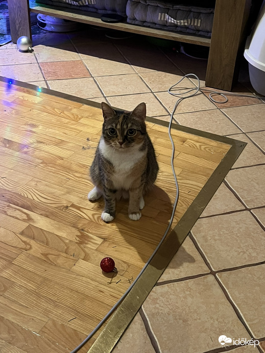 Gazdi! Vízkereszt napja van. Nem szedjük le a díszeket?