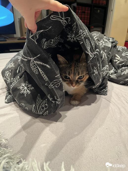 Ébresztő! Vége a téli álomnak!