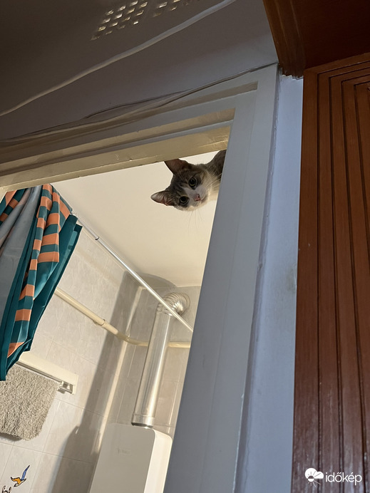 Te vagy? Azt hittem a Tavasz kopogott...