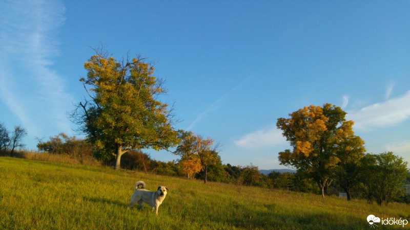 Sáta