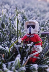 Hó helyett dér lett reggelre