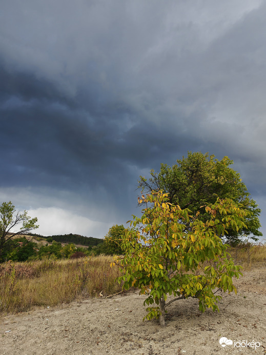 Szél viharra érkezik 