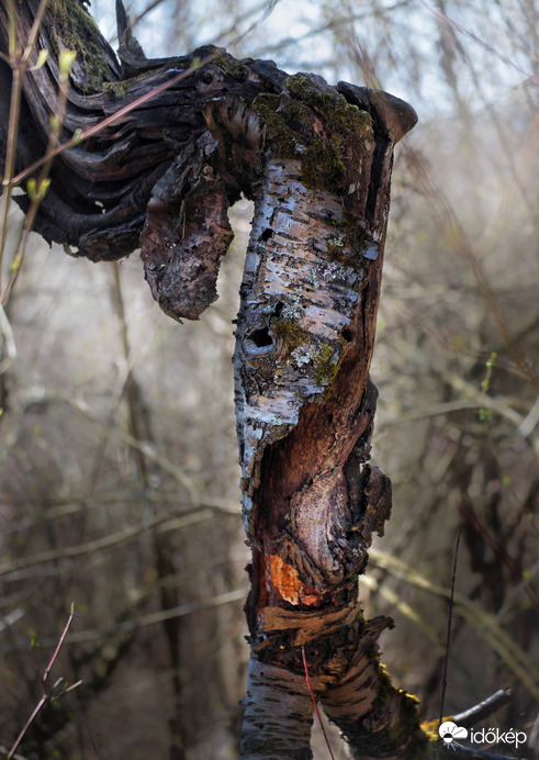 Türelmesen várja a hidegfrontot