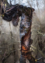 Türelmesen várja a hidegfrontot