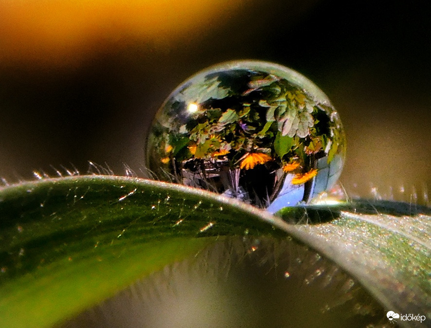 Egy cseppben a tavasz 