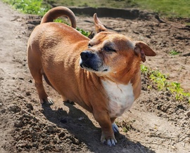 Fülembe kiabál a szél 