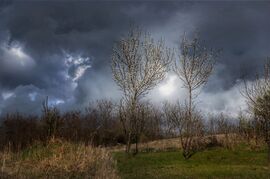 Eső helyett csak pazar felhő 