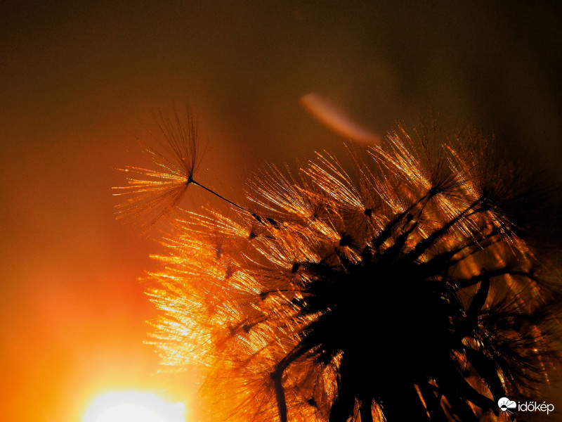 Tova száll egy új remény felé 