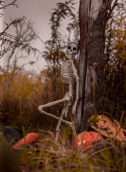 Pózoljunk tökösen  :D