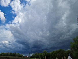 viaalsonemedi fotója