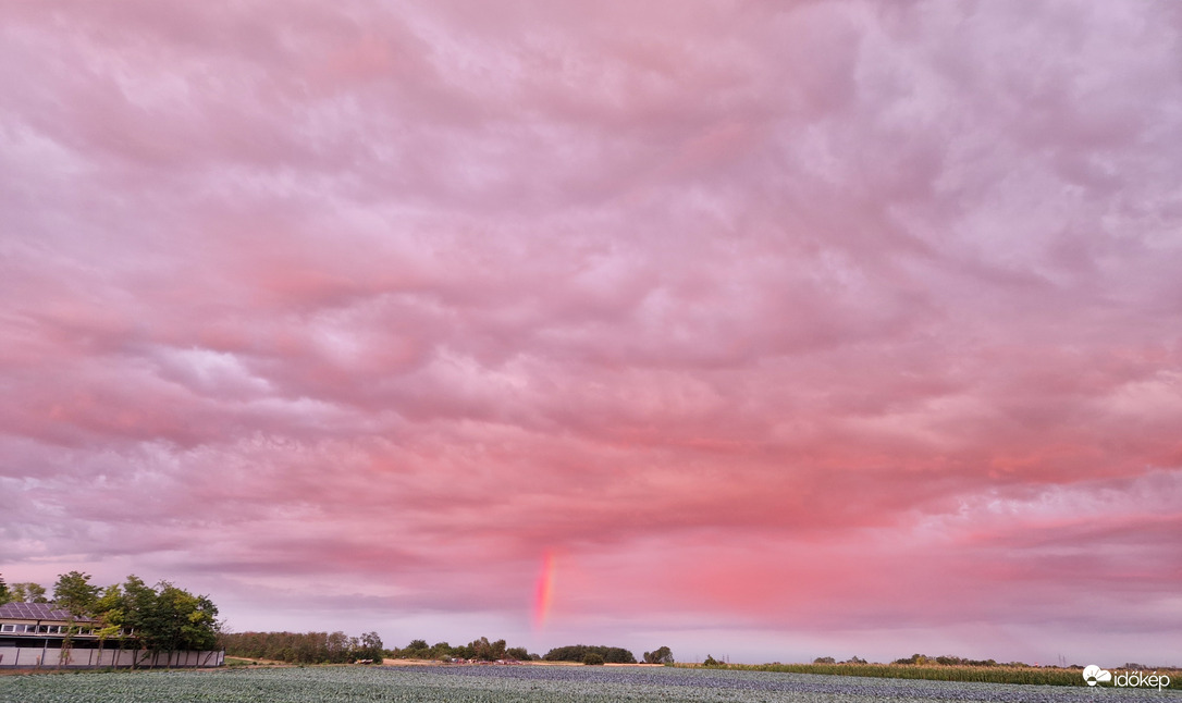 Vörös szivárvány 